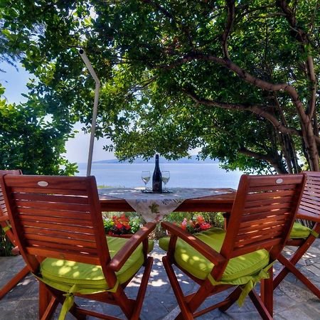 Apartments By The Beach Adela Senj 센 외부 사진